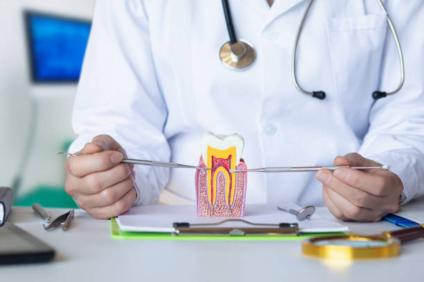 Best Pediatric Emergency Dentist in Haughton, LA